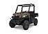 2019 Polaris Ranger EV for sale 200652963